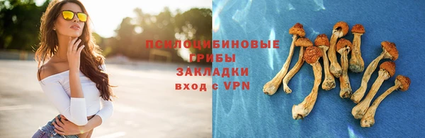 соль курить ск Надым