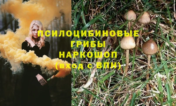 метадон Абаза