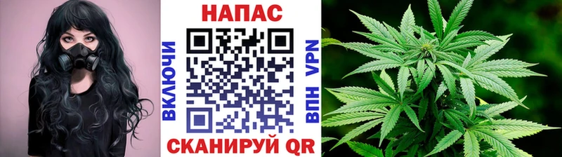 как найти закладки  Струнино  Конопля индика 